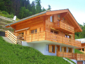 A luxurious 12 person chalet with superb view